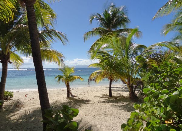 Comment organiser un voyage en Guadeloupe en explorant le nord de la Grande-Terre ?