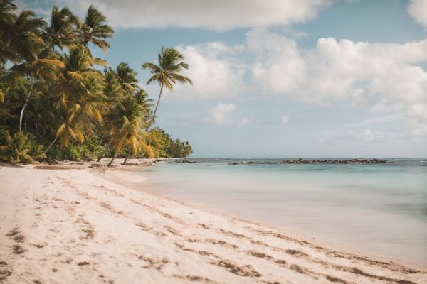 Comment organiser un voyage en Guadeloupe en explorant le nord de la Grande-Terre ?